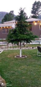 Forest Valley Cottages