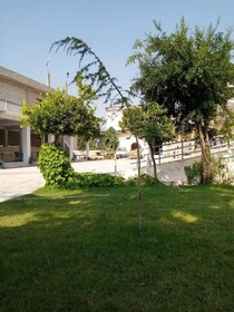 Muree Continental Hotel & Restaurant