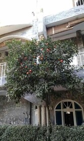 Taj Mahal Hotel