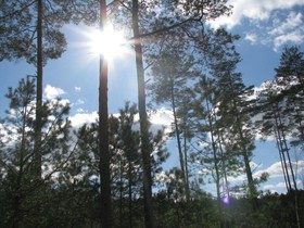 Rezydencja nad jeziorem Pestkownica