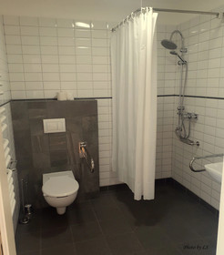 Kasztanowy Palac