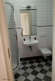 Kasztanowy Palac
