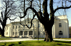 Kasztanowy Palac
