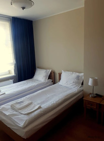 Kasztanowy Palac