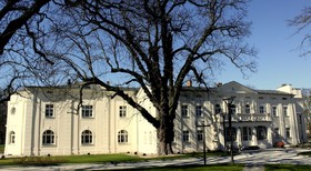 Kasztanowy Palac