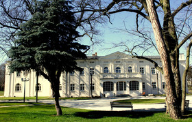 Kasztanowy Palac