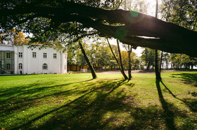Kasztanowy Palac