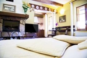 Hotel Dworek Wapionka