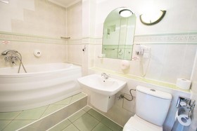 Hotel Dworek Wapionka