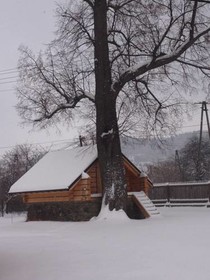Zacisze Pod Lipa