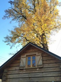 Zacisze Pod Lipa