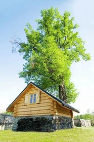 Zacisze Pod Lipa