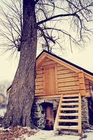 Zacisze Pod Lipa