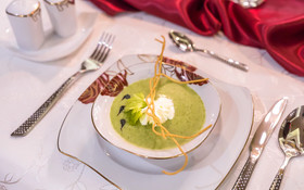 Kurhotel Adam & Spa