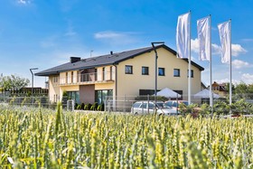 ZlOty Staw