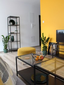Amber Gliwice