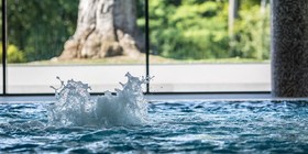 Hanza Palac Wellness & Spa