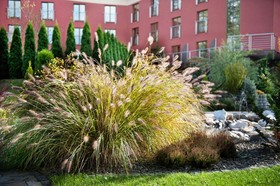 Hotel Amadeus