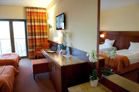Hotel Amadeus