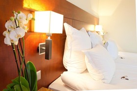 Hotel Amadeus
