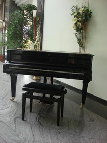 Hotel Amadeus