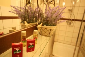 Seven 7 Hotel Kalisz