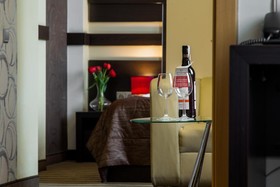 Hotel Diament Plaza Katowice
