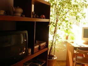 Aleje28 Hostel