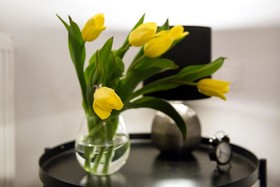 Apartamenty Stary Krakow Go
