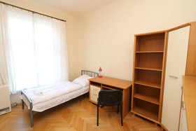 Erasmus Student Apartments - Old Town