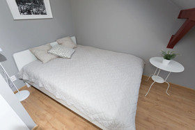 Erasmus Student Apartments - Old Town