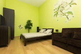 Erasmus Student Apartments - Old Town