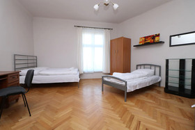 Erasmus Student Apartments - Old Town