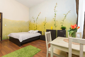 Erasmus Student Apartments - Old Town