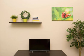 Erasmus Student Apartments - Old Town