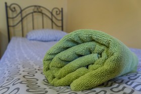 Flower Hostel