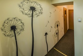 Flower Hostel