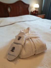 H15 Hotel Francuski