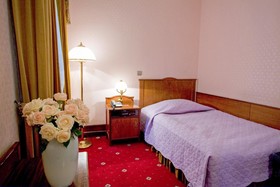 H15 Hotel Francuski