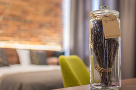 Hotel Lavender