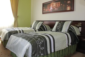 Hotel Magnat Airport