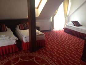 Hotel Magnat Airport