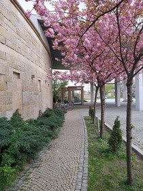 Hotel Sympozjum