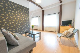 Old Town Apartments Slawkowska