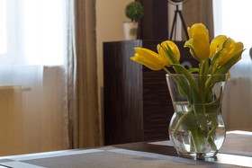 Old Town Apartments Slawkowska