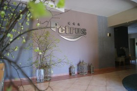 Petrus