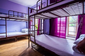 Pink Panther's Hostel