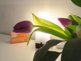 Pokoje Goscinne Poselska 20