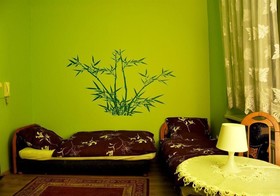 Tara Hostel Krakow