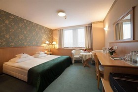 Hotel Witek
